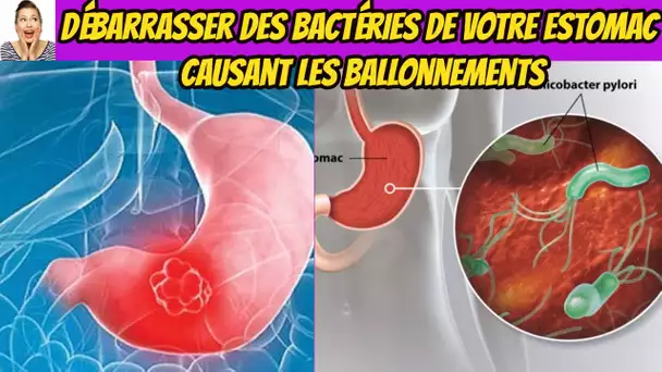 Débarrasser des bactéries qui causent des brûlures d&#039;estomac et des ballonnements naturellement