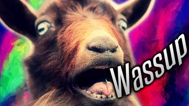 WASSUP GOAT ?!