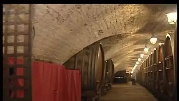 La cave à vin de l'Hôpital civil de Strasbourg