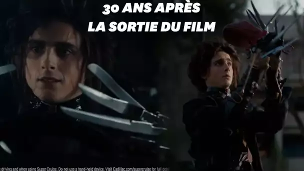 Dans un pub pour le Super Bowl 2021, Timothée Chamalet incarne le fils d'Edward aux mains d'argent