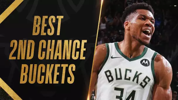 Best Giannis Antetokounmpo 2nd Chance Buckets! 💪