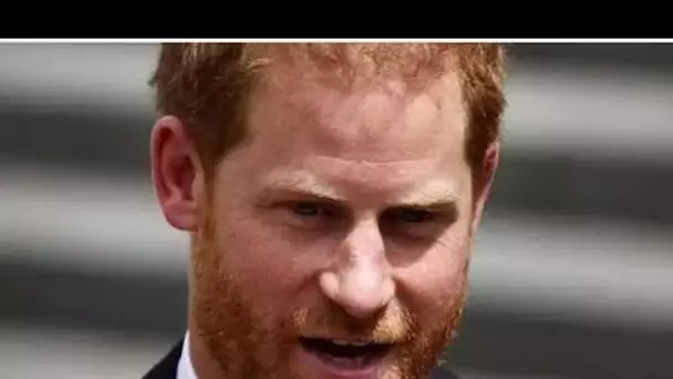 Le prince Harry utilisera un livre explosif pour se "positionner" dans un nouveau rôle auprès du pub