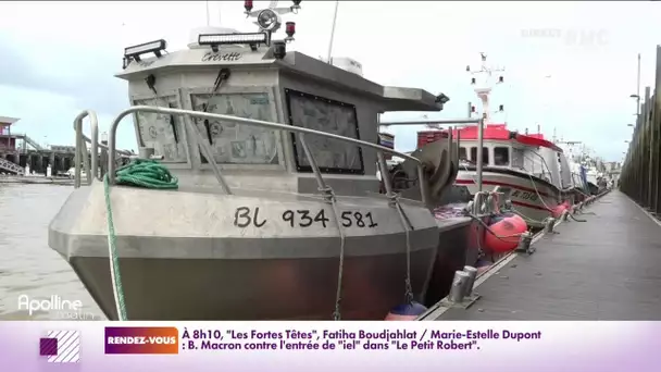 Licences de pêche : la France est-elle en train de perdre son bras de fer avec le Royaume-Uni ?