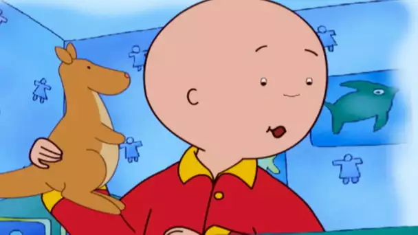 Les Petites Histoires de Caillou | Caillou en Français