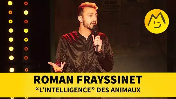 Roman Frayssinet - 'L&#039;intelligence' des animaux