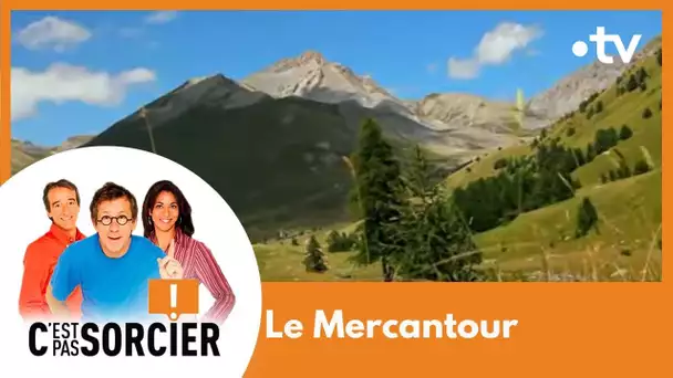 Mercantour entre monts et merveilles - C'est pas sorcier [Intégrale]