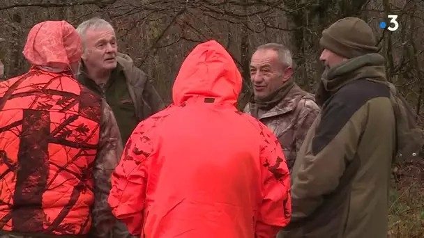 Les cerfs de la forêt de Chaux (Jura) au cœur d'une opposition entre l'ONF et ses défenseurs