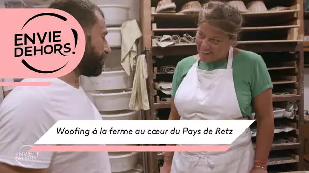 ENVIE DEHORS ! Woofing à la ferme au cœur du Pays de Retz [extrait]