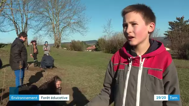 Tarn : une forêt nourricière plantée par des collégiens à Aussillon