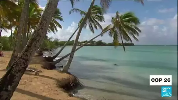 COP26 : Martinique, Tahiti...quand les plages disparaissent • FRANCE 24