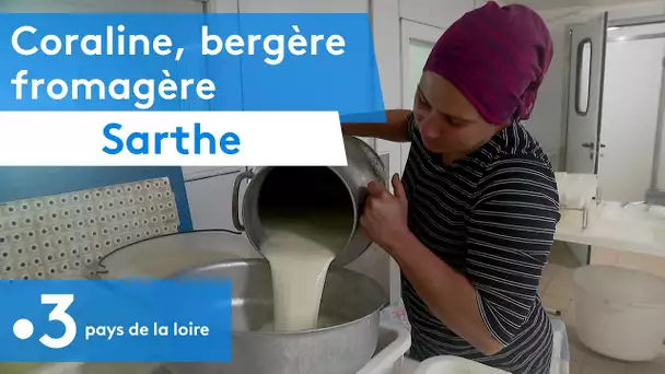 Sarthe :  Coraline, Bergère fromagère