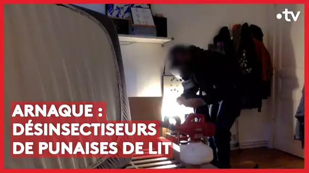 Arnaque : ce désinsectiseur sort une punaise de lit de sa poche