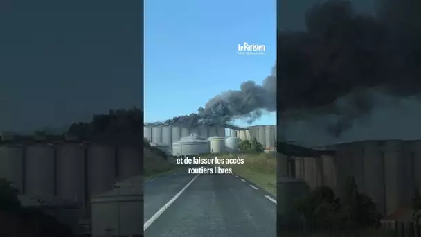 Des silos en feu dans le port de La Rochelle, des dizaines de pompiers mobilisés