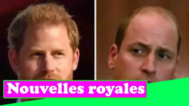 Le "ressentim.ent"du prince Harry d'être un "leurre" pour le prince William: "Prendre tout le blâme!