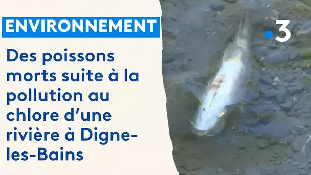 Digne-les-Bains : pollution au chlore pour la rivière des Eaux Chaudes