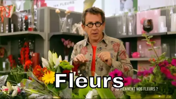 Pourquoi les fleurs sont-elles si belles ? - C'est Pas Sorcier