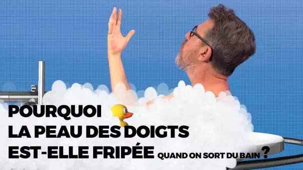 Pourquoi a-t-on la peau des doigts fripée quand on sort du bain ?  - #LaMinuteJamy