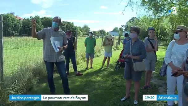 Royan : succès des jardins partagés