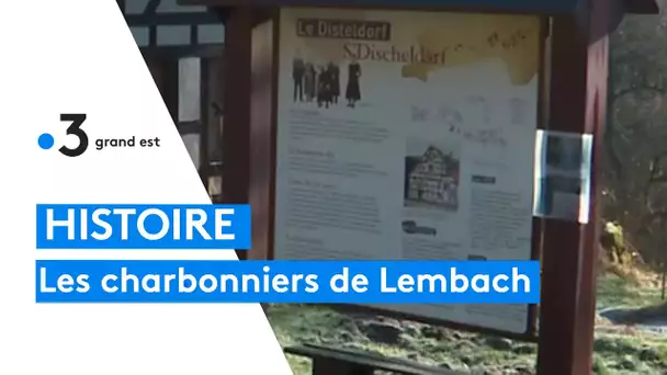 L'histoire des charbonniers de Lembach dans les Vosges du Nord