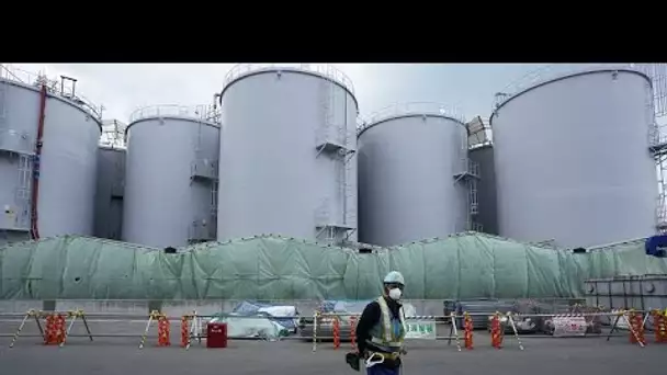 Fukushima : les eaux radioactives à la mer