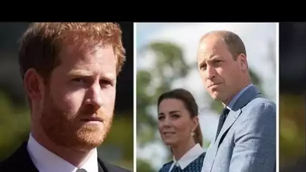 William est resté " estomaqué " après qu'Harry " ait entraîné Kate dans une rangée dangereuse "