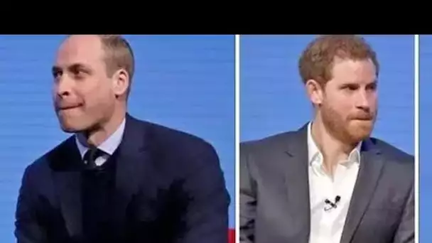 Harry affirme que William "complotait de se venger" après que Charles ait rompu une furieuse bataill