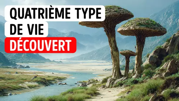 Formes de vie anciennes qui n'appartiennent nulle part sur l'arbre de la vie