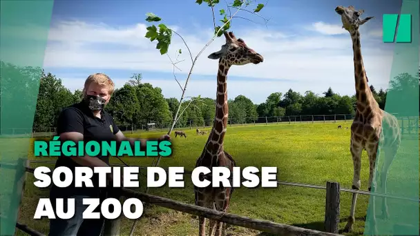 Avant les régionales, on a suivi la "sortie de crise" de Nicolas, directeur de zoo en Nouvelle-Aqui