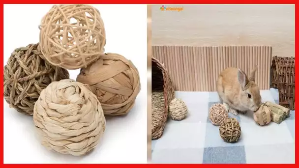Niteangel Small Animal Activity Toy, Fun Pet Balls