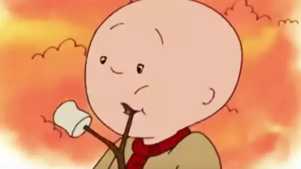 Caillou en français -  Caillou Brûle sa Langue | dessin animé complet en francais