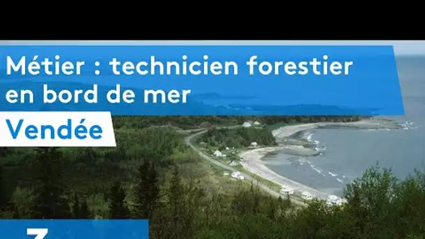 métier : Technicien forestier en bord de mer