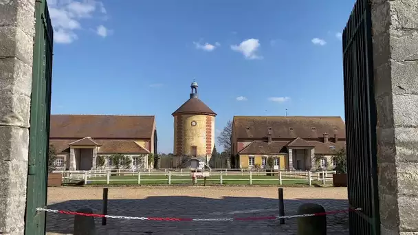 #A10kmDeChezVous : la Bergerie Nationale de Rambouillet