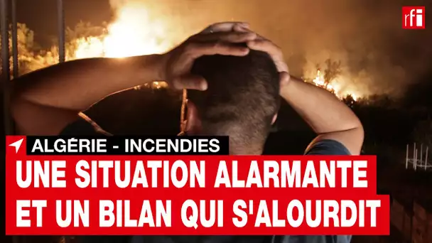 Incendies en Algérie : le bilan s’alourdit et la situation est alarmante en Kabylie • RFI