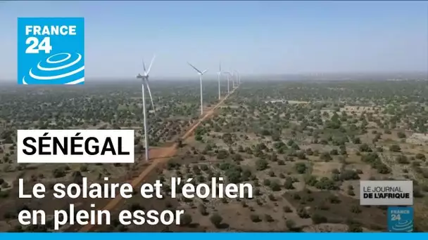 Le Sénégal à la pointe des énergies renouvelables • FRANCE 24