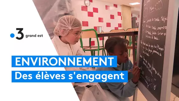Journée de l'environnement : collégiens et lycéens s'engagent à Thionville