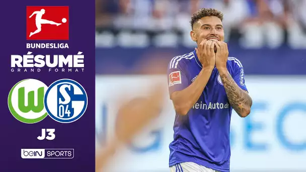 🇩🇪 Résumé - Bundesliga : Schalke 04 va devoir travailler les penalties !