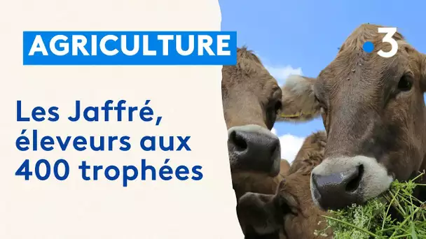 Les Jaffré, éleveurs aux 400 trophées