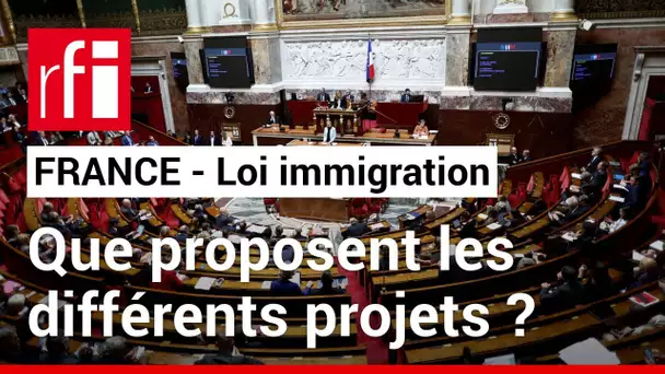 France : bras de fer autour de la loi immigration • RFI