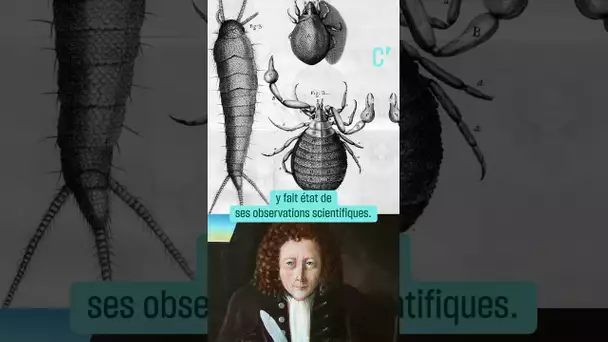 "Micrographia" : le livre qui permet d'observer l'infiniment petit en grand format