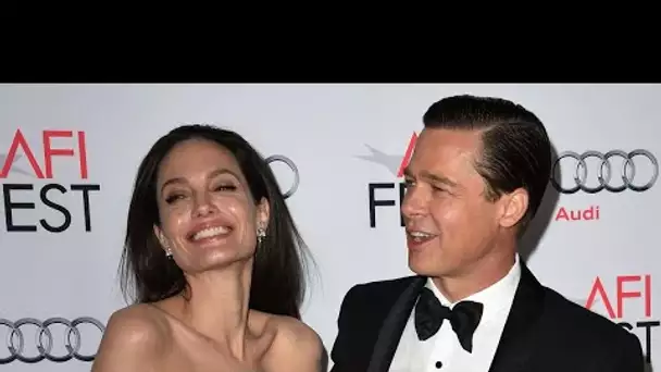 Brad Pitt et Angelina Jolie condamnés en France à payer un demi-million d#039;euros