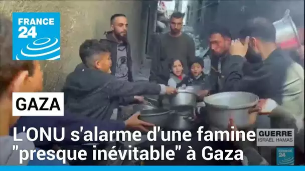 L'ONU s'alarme d'une famine "presque inévitable" à Gaza et "imminente" dans le nord • FRANCE 24