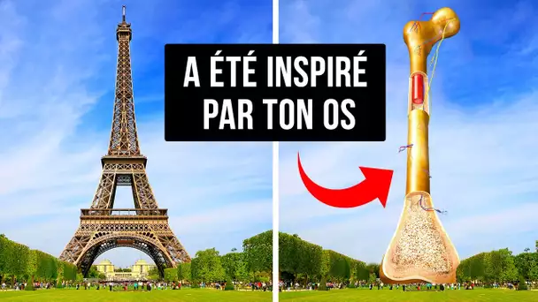 Connais-tu les points communs entre tes os et la Tour Eiffel ?
