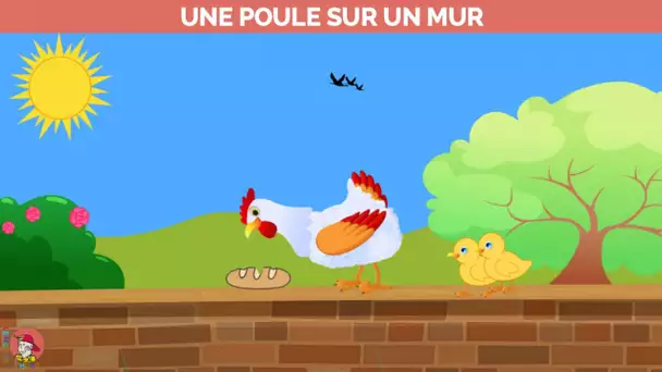 Le Monde d&#039;Hugo - Une poule sur un mur