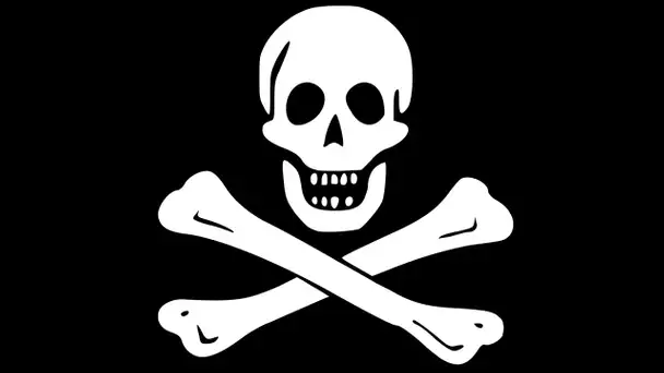 REJOINS MON ARMÉE DE PIRATES ! Paint the town red