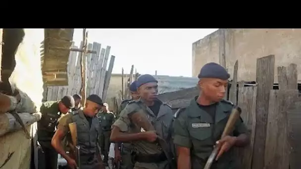 Le marché de Madagascar, un lieu qui grouille d'activités illégales