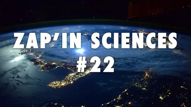 Zap'In Sciences #22 - L'Esprit Sorcier