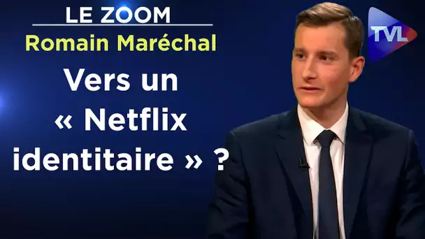 Epopée, la plateforme vidéo de la culture française - Le Zoom - Romain Maréchal - TVL