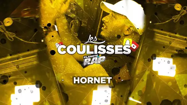 Hornet La Frappe - Les coulisses de Planète Rap ! (avec Ninho, Maes, Da Uzi, Uzi...)