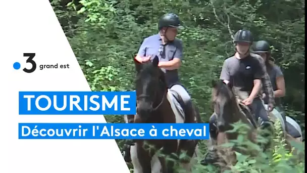 Succès du tourisme équestre en Alsace