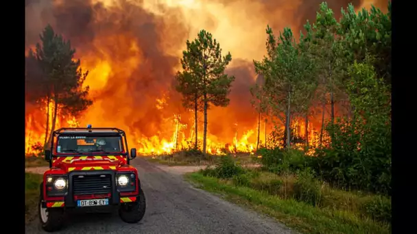 Incendies en Gironde : Plus de 10.000 hectares brûlés